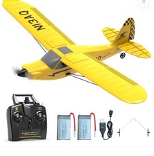 VOLANTEX RC Plane for