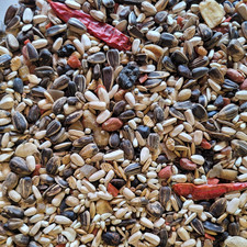 PARROT MACAWS & AFRICAN GREYS