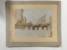 Horse drawn general dray - general, wagon