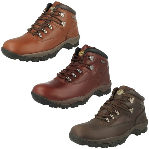 Mens northwest territory lace - mens,