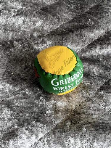 Vintage 90s grizedale forest - grizedale,