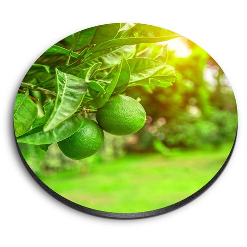 Round mdf magnets citrus - round,