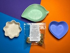 Giant African Land Snail