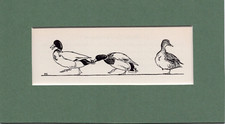 Peter Scott  ~ MALLARDS ~ Genuine Original Vintage Print 1936