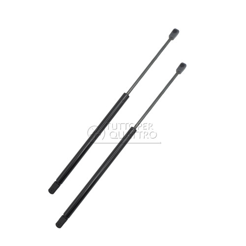 Gas springs rear - 2,