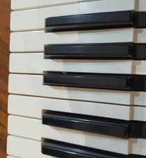 KORG TRITON classic 61 pro 76    REPLACEMENT KEYS INC.SPRING ORIGINAL ITEM