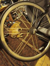 Campagnolo Shamal Rear Wheel 700c with 9 Speed Cassette. In Original Silver.