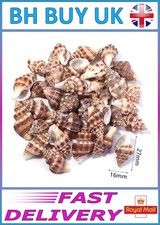 40g AQUARIUM SNAIL SHELLS