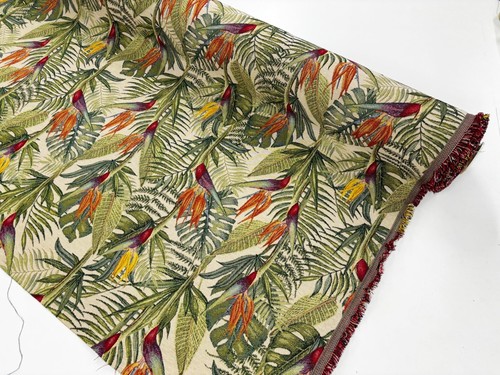 Bird paradise heavy - bird, of