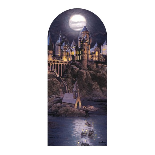 Hogwarts night cardboard - night,