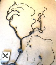 Ford 1.8 2.0 Zetec/ST170 Loom