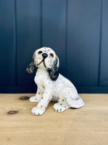 English setter dog harvey knox - english,