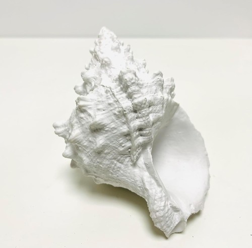 Artificial coral ornament - coral,
