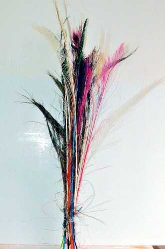 Pack damaged peacock - pack,