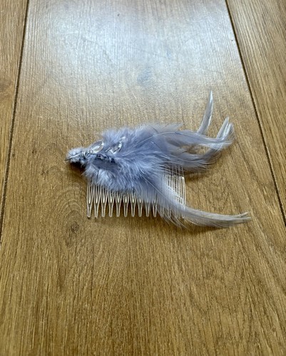 Light gray feather - light, showgirl