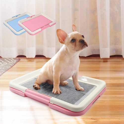 Portable dog training toilet - training,