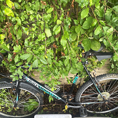 Bikewoodman mountain bike - bikewoodman, 26