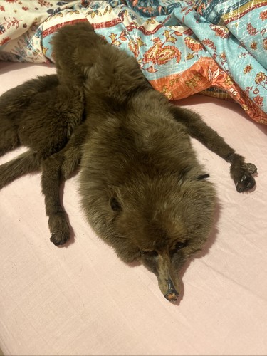 Fox fur stole vintage - stole,
