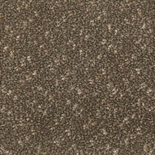 Impervious Twist Taupe Carpet