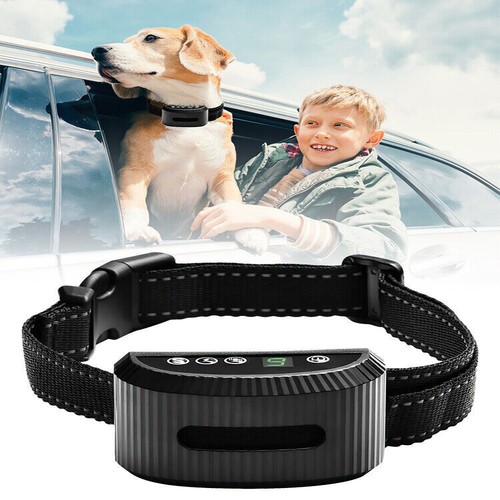 Electric pet dog training - dog,