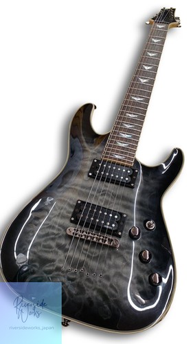 Schecter other body type - schecter,