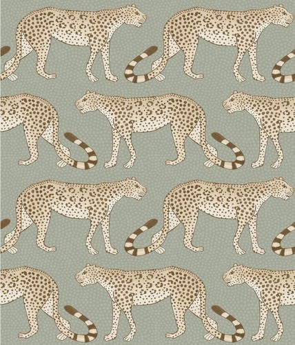 Cole son leopard walk - &,