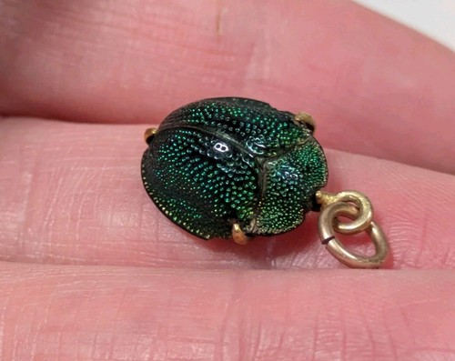 Antique gold genuine beetle - gold,