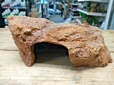 GECKO REPTILE LIZARD SAND