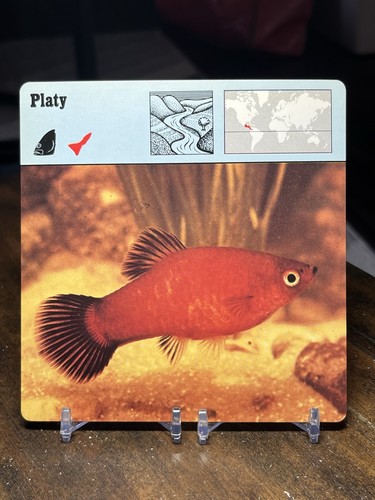 Platy 1976 editions recontre - platy,,