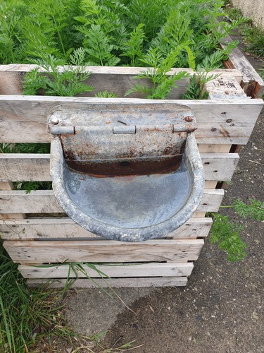 Vintage bird bath - vintage,