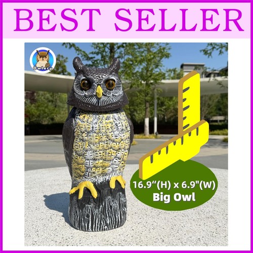 Outdoor solar owl statue with - owl,