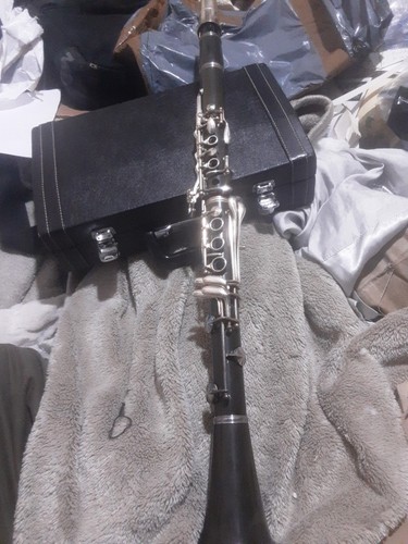 Lark m4001 clarinet china - clarinet, with