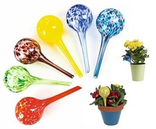 Plant Watering Spheres Pack of