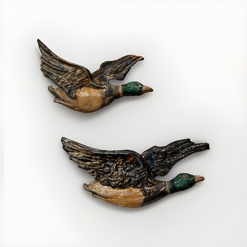 Two mallard flying duck - mallard,