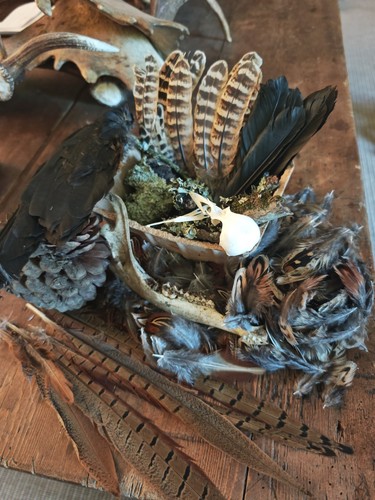 Curated woodland box - woodland,