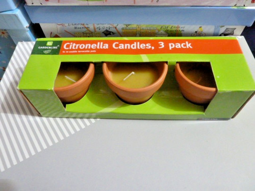 Gardenline citronella - gardenline,