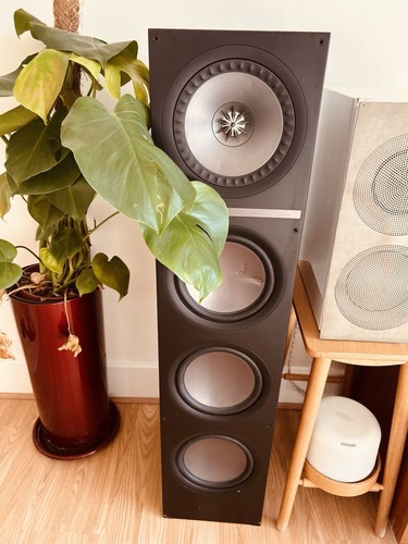 Kef q900 black floor - black,