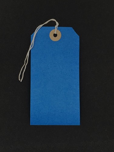 Blue strung tie tags - tie,