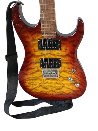 Washburn series pro - x,