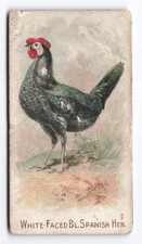 1891 Allen & Ginter Prize &