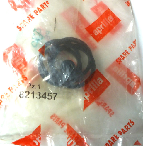 Aprilia brake caliper repair - brake,