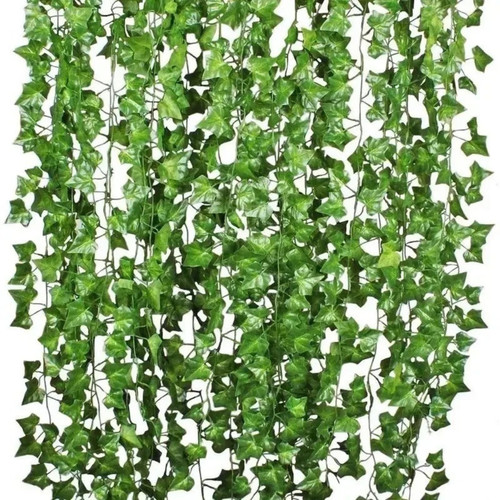 Pack feet fake ivy - pack, 84