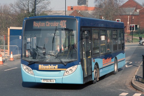 Bus photo bluebird - photo,