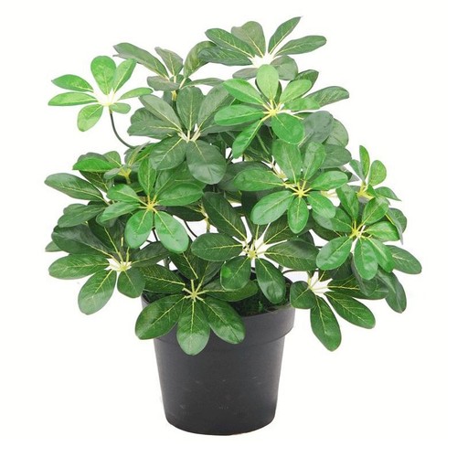 Artificial arboricola plant - arboricola,