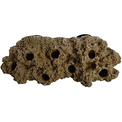 Magnetic reef coral frag - magnetic, rack
