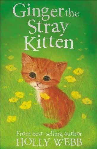 Ginger the stray kitten - ginger, kitten: