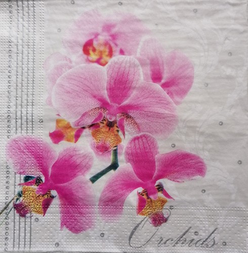 Single paper napkins - paper,