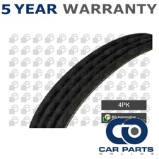 V Ribbed Drive Belt CPO Fits