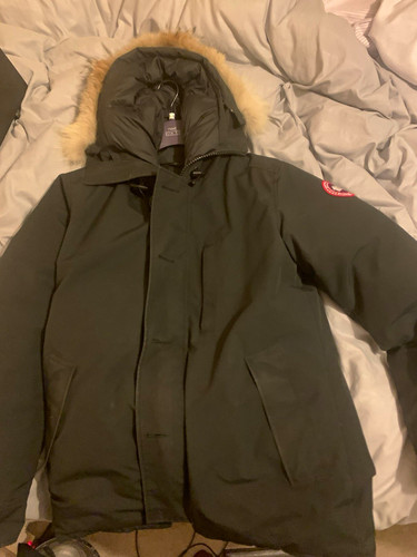 Canada goose chateau arctic - goose,