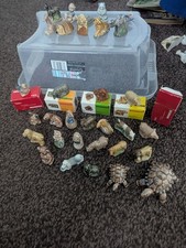 RARE 32x Wade Whimsies Vintage Collection Bundle Job Lot Boxed Nursery Rhyme